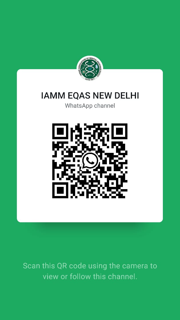 WhatsApp Channel